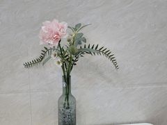 -凉凉海石花