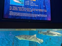 -秦皇岛新澳海底世界
