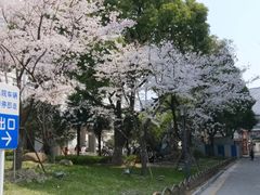 -苏州市立医院本部母子保健中心