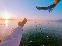 -滇池海埂公园