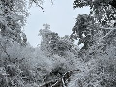 -峨眉山风景名胜区