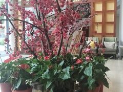 -张家港金凤凰度假村温泉