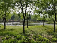 -东郊湿地公园