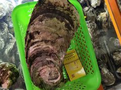 生蚝-土蚝·高压锅生蚝(百姓美食街店)