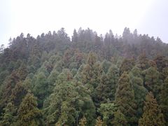 -南岳衡山风景名胜区