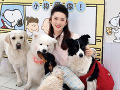 -汪说·狗咖·拼豆·宠物周边DIY(旺城大厦店)