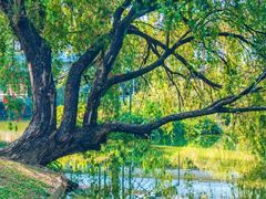 -人民公园(罗湖区)