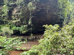 -碧峰峡风景区