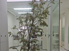 -极简口腔(总院)