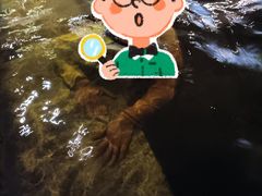 -卡拉卡拉漫温泉汗蒸