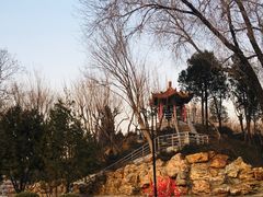 -黄村公园