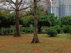 -南宁南湖公园