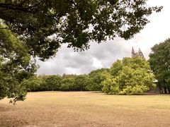 -上海共青森林公园