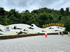 -西双版纳原始森林公园