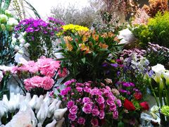 -花草间花行(法华镇路店)