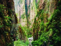 -黄山风景区