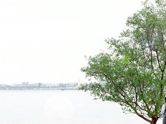-霞山观海长廊