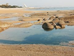 -日照灯塔风景区