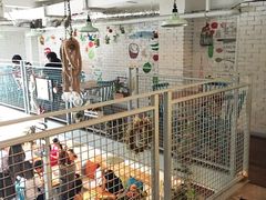 -Kitchen·Y洋厨房西餐厅(王府壹号店)