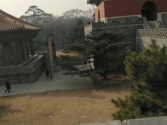 -北陵公园