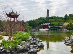-顺峰山公园