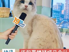 -怪兽屋·羊驼·猫咖·狗咖(俊华广场店)