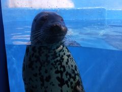 -多彩贵州城极地海洋世界