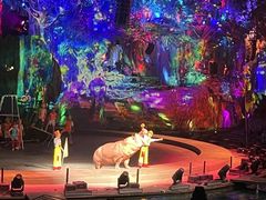 -广州长隆国际大马戏