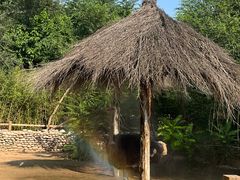 -北京野生动物园