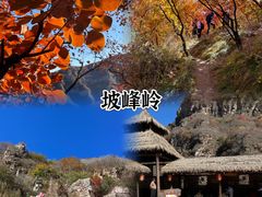 -Catail前苑(前门大街店)