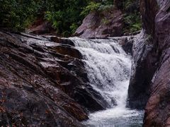 -广州白江湖森林公园