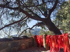 -泰山风景名胜区