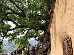 -杨家堂村