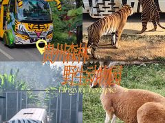 -贵州森林野生动物园