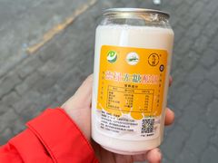 -德禄酸奶(莫家街店)