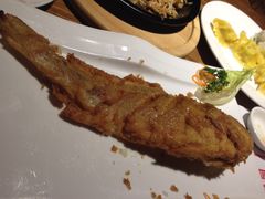 船歌鱼水饺(万象汇店)-船歌鱼水饺(淄博万象汇店)