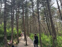 -帽儿山国家森林公园