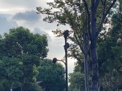 -崔氏班面馆(2号店)