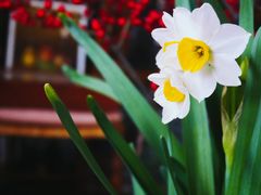 -花·fleur古董西餐厅(西城夜未央店)