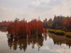 -白鹭湾湿地公园