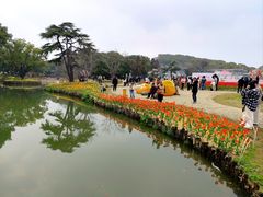 -无锡梅园公园