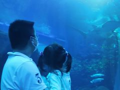 -成都浩海立方海洋公园