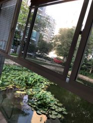 -摩瘦纤体订制减肥