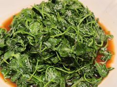 -同济大酒店(绿宝广场店)