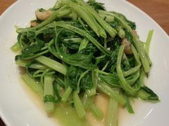 -福昌源食苑