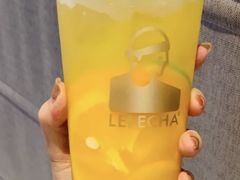 多肉橙子-LELECHA乐乐茶(美罗城店)