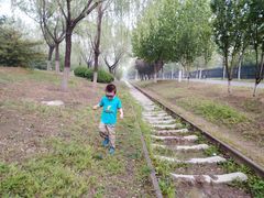 -永定河休闲森林公园