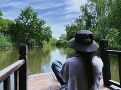 -溱湖国家湿地公园