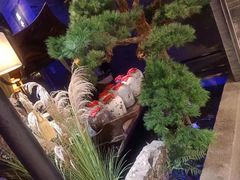 -绿茶餐厅(千岛湖银泰城店)