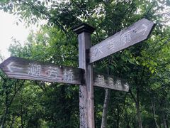 -杭州半山国家森林公园